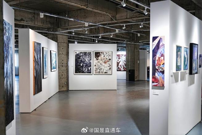 本次活动汇聚两岸及全球55位艺术家的逾400件作品,旨在搭建